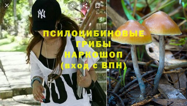 бошки Белокуриха