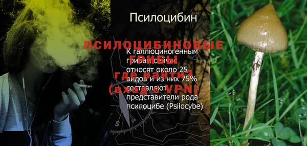 бошки Белокуриха