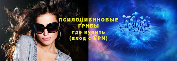бошки Белокуриха